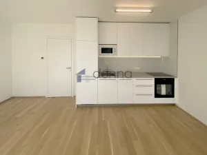 Pronájem bytu 1+kk, Praha, Na Viktorce, 39 m2