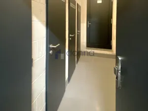 Pronájem bytu 1+kk, Praha, Na Viktorce, 39 m2