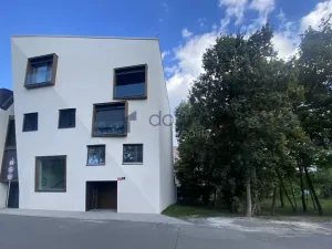 Pronájem bytu 1+kk, Praha, Na Viktorce, 39 m2