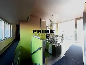 Pronájem bytu 2+kk, Praha - Žižkov, Prokopova, 72 m2