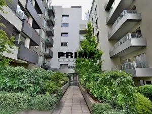 Pronájem bytu 2+kk, Praha - Žižkov, Prokopova, 72 m2