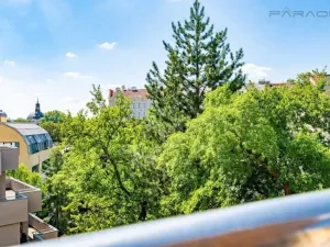 Pronájem bytu 3+kk, Praha - Vinohrady, U Zvonařky, 96 m2