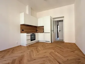 Pronájem bytu 1+kk, Praha - Žižkov, Seifertova, 25 m2