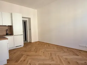 Pronájem bytu 1+kk, Praha - Žižkov, Seifertova, 25 m2