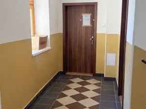 Pronájem bytu 1+kk, Praha - Žižkov, Seifertova, 25 m2
