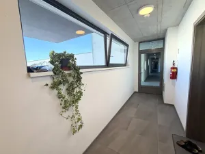 Pronájem bytu 1+kk, Rajhrad, Masarykova, 42 m2