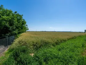 Prodej pozemku pro bydlení, Stěžery, Polní, 14692 m2