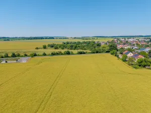 Prodej pozemku pro bydlení, Stěžery, Polní, 14692 m2