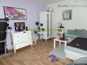 Pronájem bytu 1+kk, Opava, 28. října, 28 m2