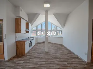 Prodej činžovního domu, Hrušovany nad Jevišovkou, náměstí Míru, 260 m2
