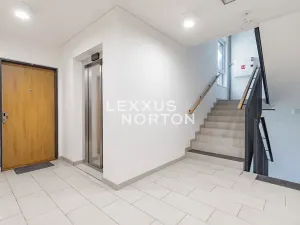 Prodej bytu 2+kk, Praha - Žižkov, Olgy Havlové, 53 m2