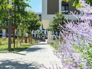 Prodej bytu 2+kk, Praha - Žižkov, Olgy Havlové, 53 m2