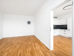 Pronájem bytu 2+kk, České Budějovice - České Budějovice 3, Čéčova, 53 m2