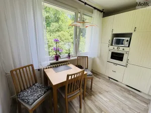 Prodej bytu 3+1, Litvínov - Horní Litvínov, Tylova, 78 m2