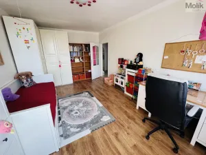 Prodej bytu 3+1, Litvínov - Horní Litvínov, Tylova, 78 m2