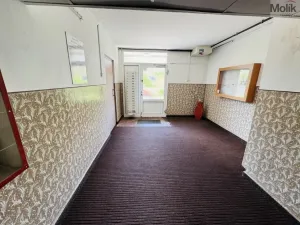 Prodej bytu 3+1, Litvínov - Horní Litvínov, Tylova, 78 m2