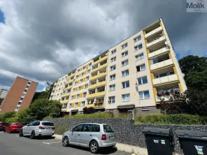 Prodej bytu 3+1, Litvínov - Horní Litvínov, Tylova, 78 m2