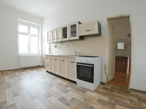 Pronájem bytu 2+1, Plzeň, Americká, 97 m2