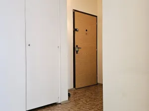 Prodej bytu 2+kk, České Budějovice, Netolická, 42 m2