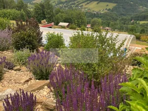 Prodej rodinného domu, Paseky nad Jizerou, 345 m2