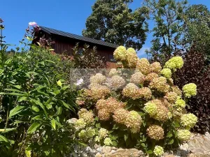 Prodej rodinného domu, Paseky nad Jizerou, 345 m2