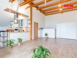 Pronájem bytu 3+kk, Františkovy Lázně - Dlouhé Mosty, 125 m2