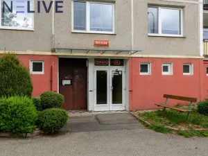 Prodej bytu 4+1, Plzeň, Rabštejnská, 81 m2