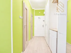 Pronájem bytu 2+1, Lovosice, Wolkerova, 48 m2