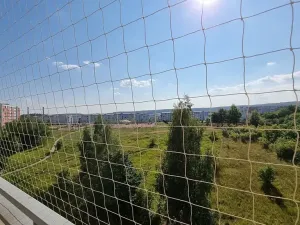Pronájem bytu 1+1, Brno, Teyschlova, 39 m2