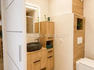 Prodej bytu 2+kk, České Budějovice - České Budějovice 2, Dlouhá, 45 m2