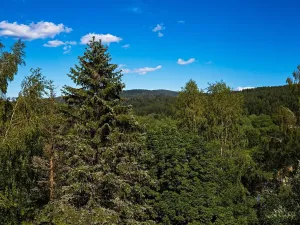 Prodej bytu 2+kk, Bayerisch Eisenstein, Německo, Brennesstraße, 51 m2