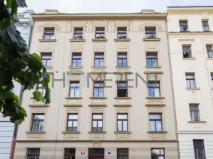 Pronájem bytu 1+kk, Praha - Bubeneč, U akademie, 39 m2