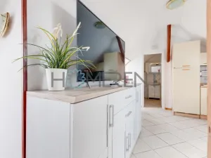 Pronájem bytu 1+kk, Praha - Bubeneč, U akademie, 39 m2