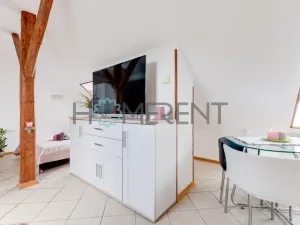 Pronájem bytu 1+kk, Praha - Bubeneč, U akademie, 39 m2
