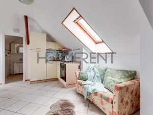 Pronájem bytu 1+kk, Praha - Bubeneč, U akademie, 39 m2