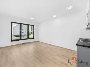 Pronájem bytu 1+kk, Plzeň - Jižní Předměstí, Železná, 33 m2
