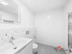 Pronájem bytu 1+kk, Plzeň - Jižní Předměstí, Železná, 33 m2