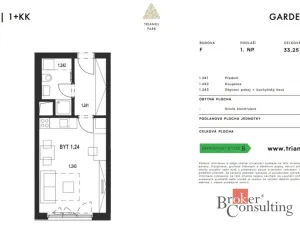 Pronájem bytu 1+kk, Plzeň - Jižní Předměstí, Železná, 33 m2