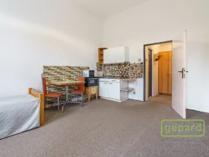 Prodej apartmánu, Sokolov, Svatopluka Čecha, 257 m2