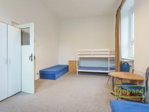 Prodej apartmánu, Sokolov, Svatopluka Čecha, 257 m2
