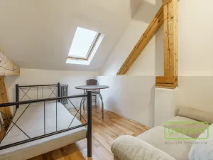 Prodej apartmánu, Sokolov, Svatopluka Čecha, 257 m2