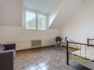 Prodej apartmánu, Sokolov, Svatopluka Čecha, 257 m2