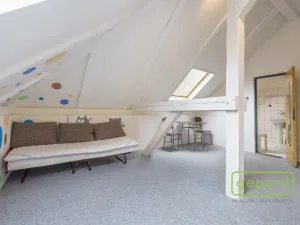 Prodej apartmánu, Sokolov, Svatopluka Čecha, 257 m2