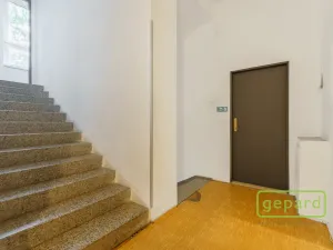 Prodej apartmánu, Sokolov, Svatopluka Čecha, 257 m2