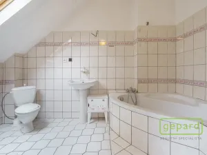 Prodej apartmánu, Sokolov, Svatopluka Čecha, 257 m2