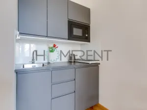 Pronájem bytu 1+kk, Praha - Vinohrady, Lublaňská, 25 m2