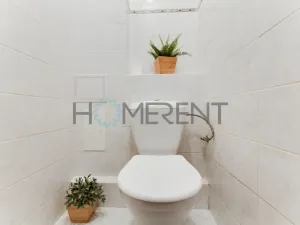 Pronájem bytu 1+1, Praha - Holešovice, Přístavní, 45 m2
