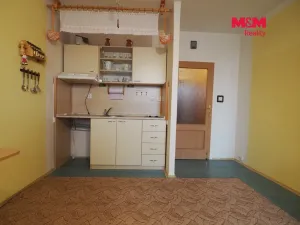 Pronájem bytu 1+kk, Bohumín - Nový Bohumín, Svat. Čecha, 25 m2