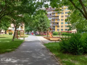 Prodej bytu 1+1, Opava, Zeyerova, 35 m2