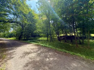 Prodej pozemku pro bydlení, Planá - Kříženec, 4165 m2